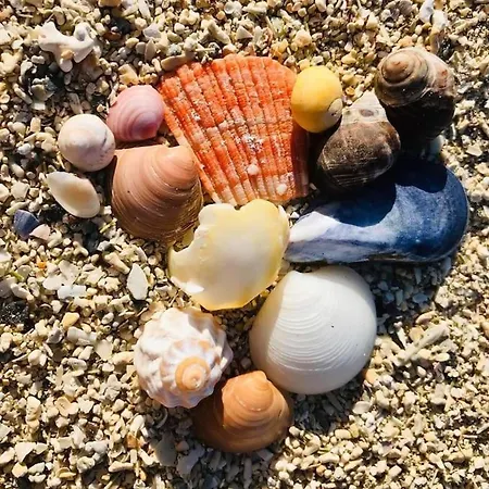 Nydelig Ved Havet Naert Tromsø