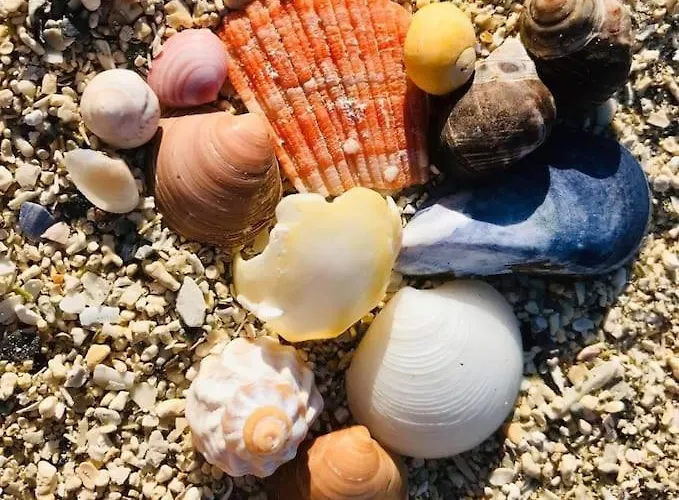 Nydelig Ved Havet Naert Tromsø